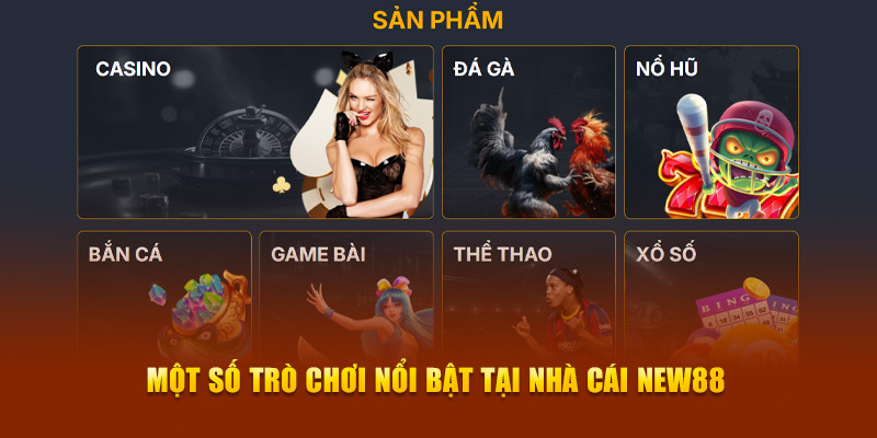 Tin Tức